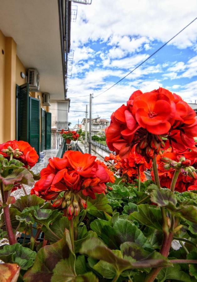 B&B Grazia Капуа Екстер'єр фото